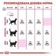Сухий корм Royal Canin Fussy Exigent Aromatic для дорослих котів вибагливих до аромату корму 4кг - зображення 3