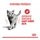 Сухий корм Royal Canin Light Weight Care дієтичний для дорослих котів для обмеження набору зайвої ваги 1.5 кг - зображення 2