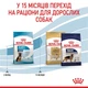 Сухой корм Royal Canin Maxi Puppy для щенков крупных пород 4кг - изображение 4
