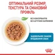 Влажный корм Royal Canin Puppy Mini для взрослых собак малых размеров 85г КОМПЛЕКТ 12 шт - изображение 3