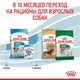 Влажный корм Royal Canin Puppy Mini для взрослых собак малых размеров 85г КОМПЛЕКТ 12 шт - изображение 4