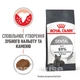 Сухой корм Royal Canin Dental Care для взрослых кошек склонных к накоплению зубного налета 16кг - изображение 3