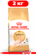 Сухий корм Royal Canin Sphynx Adult для котів породи сфінкс від 12 місяців 2 кг - зображення 1