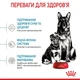Сухой корм Royal Canin Maxi Starter в период беременности и лактации, щенков до 2 месяцев 8кг - изображение 2