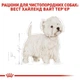 Сухой корм Royal Canin West Highland White Terrier Adult для собак породы вест хайленд вайт терьер 6 кг - изображение 2