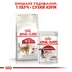 Сухой корм Royal Canin FIT 32 для активных кошек 8кг - изображение 2
