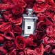Одеколон для женщин Jo Malone Red Roses 100 мл - изображение 5