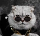 Окуляри для собак Pet Style 8 см Райдужні Зелені - зображення 4