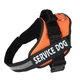Шлея для котів посилена Pet Style "Service Dog" Помаранчева L - зображення 1