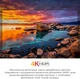 Телевізор TCL 43P735 - зображення 7
