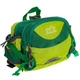 Сумка поясная COLOR LIFE WAIST BAG TY-5335 Салатовый - изображение 1