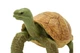 Фигурка Черепаха Гигантская Safari Ltd 272529 - изображение 5