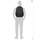 Рюкзак для ноутбука Tucano Sole Gravity AGS 17" Black (BKSOL17-AGS-BK) - изображение 13
