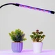 Одинарна ультрафіолетова світлодіодна гнучка фітолампа для рослин Led Plant Grow Light USB - зображення 8