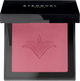 Рум'яна для обличчя Stendhal Illuminating Blush 303 Rose Marrakech 5.5 г (3355996047841) - зображення 1