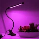 Одинарна ультрафіолетова світлодіодна гнучка фітолампа для рослин Led Plant Grow Light USB - зображення 1