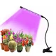 Одинарна ультрафіолетова світлодіодна гнучка фітолампа для рослин Led Plant Grow Light USB - зображення 2