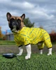 Вітровка для собак WAUDOG Clothes, малюнок "Сміливість", розмір L55 (5355-0231) - зображення 10