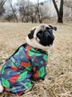 Вітровка для собак WAUDOG Clothes, малюнок "Калина", розмір XS25 (5325-0228) - зображення 2