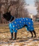 Нашийник для собак нейлоновий WAUDOG Nylon з QR-паспортом, малюнок "Прапор", 37-58 см 25 мм (4504-0229) - зображення 7