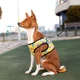 Шлея для собак мягкая WAUDOG Clothes с QR паспортом, рисунок "Рик и Морти 3", размер S2 (2906-0282) - изображение 6