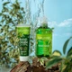 Крем для рук увлажняющий с экстрактом оливкового масла Farmasi Naturelle Olive Oil 75 мл - изображение 5
