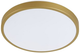 Потолочный светильники Goldlux Kern LED 24W 4000K 2500Lm IP20 (318008) - изображение 1