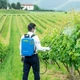 Аккумуляторный опрыскиватель Эволюшен Matabi 15 л - изображение 9
