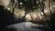 Blacktail Xbox Xs Ключ - изображение 5
