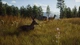 Way Of The Hunter Elite Edition Xbox Xs Ключ - изображение 3