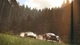 The Crew Ultimate Edition (Xbox One, X/S) Ключ - зображення 3