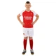 Форма футбольная детская Arsenal Арсенал SP-Planeta 6276 размер XS (20) рост 110-115см Red-White - изображение 7