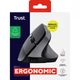 Мышка Trust Bayo 2 Ergonomic Wireless/USB-A Black (25145) (198502) - изображение 9