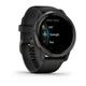 Смарт-часы Garmin Venu 2 Slate Stainless Steel Bezel with Black Case and Silicone Band (010-02430-11/01) - изображение 3