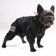 Одяг для собак дощовик "Hunter FRB" без підкладки SKU 004431 Розмір M. Your Stylish Hunter. Для собак середніх порід: французький бульдог, мопс. Водостійкий одяг для собаки. - зображення 6