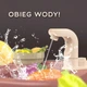 Дитяча ігрова кухня Woopie Home Kitchen 65 аксес., 28699 - зображення 2