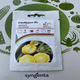 Семена патиссона раннего Санбурст F1, "Syngenta", Голландия - 10 шт (Агро Імідж) - изображение 2
