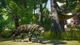 Ключ активации Planet Zoo: Ultimate Edition для Xbox Series S/X - изображение 2