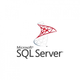 ПЗ для сервера Microsoft SQL Server 2022 - 1 User CAL Educational, Perpetual (DG7GMGF0MF3T_0002EDU) (198582) - зображення 1