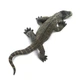 Фігурка Комодський варан Ящірка Safari Ltd 14,1 см 100263 - зображення 6