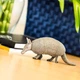 Фигурка Броненосець Safari Ltd 262829 - изображение 1