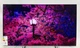 Телевізор 65 дюймів Samsung QE65Q67B (QLED 4K Smart TV Wi-Fi T2/S2 — 7310743709) Б/В - зображення 9