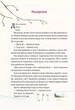 Таємниця різдвяного подарунка (Віват) (9789669825179) - изображение 5