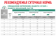 Вологий корм для котів Royal Canin Diabetic при цукровому діабеті 85 г 40850011 - зображення 2