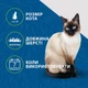 Фурмінатор FURminator для котів з короткою шерстю Short Hair розмір S - изображение 8