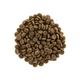 Сухой корм Brit Care Cat GF Sensitive HDigestion & Delicate Taste для кошек с чувствительным пищеварением, индейка и лосось, 2 кг - изображение 2