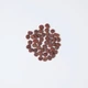 Корм сухий для котів Carnilove True Fresh Cat Turkey з індичкою, 4,8 кг - зображення 2