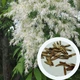 Ясень белоцветный семена (20 шт) (Fraxinus ornus) белый манный или манновый - изображение 1