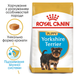 Сухой корм для щенков йоркширских терьеров Royal Canin Yorkshire Terrier Puppy 500 г 39720051 - изображение 5