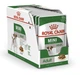 Влажный корм для собак Royal Canin Mini Adult 85 гр 109600100 - изображение 2